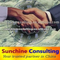 Consulting and Translation Services